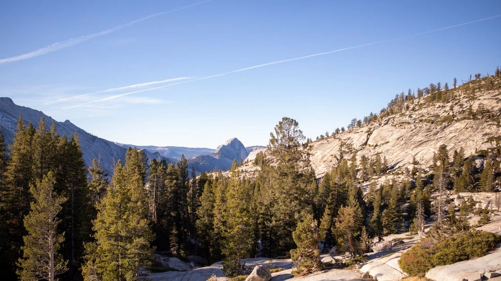A worn backpack and cook kit resting on granite at a Sierra Nevada pass at first light.